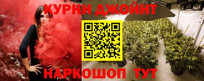 прущие грибы Гусев